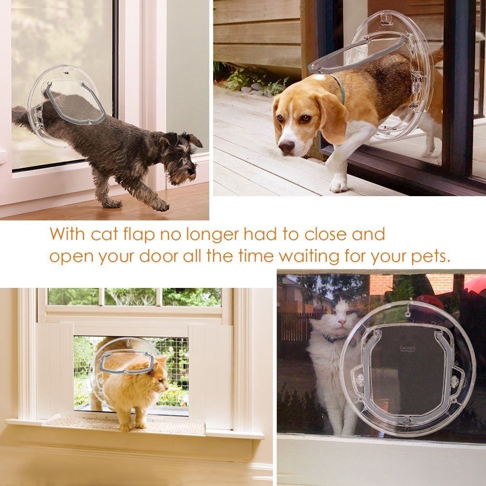 Locking dog door collar sales